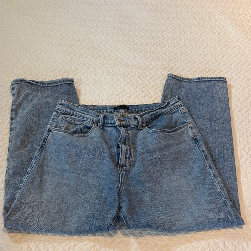 Silver Jeans Co. Light Blue Denim